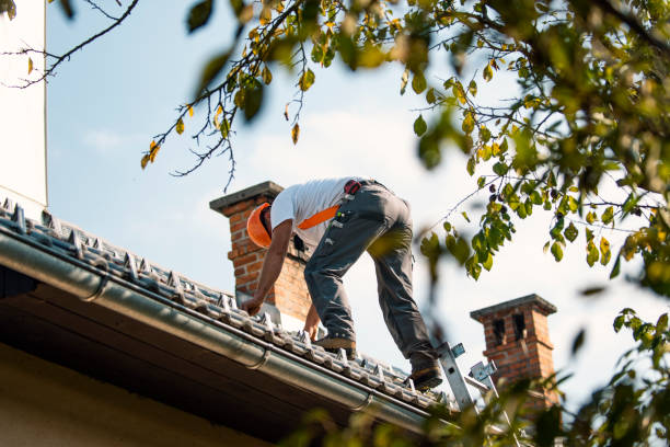 Best Asphalt Shingle Roofing  in Bidwell, OH